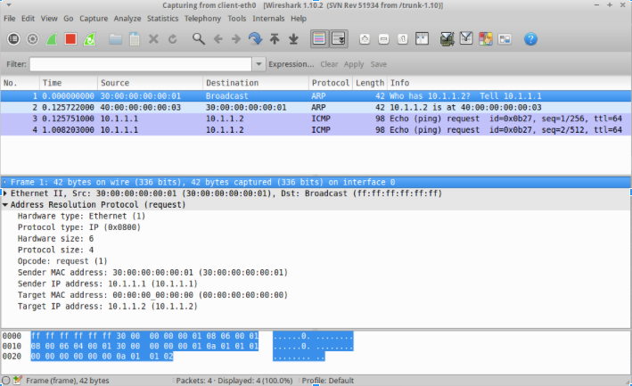 router pcap 1